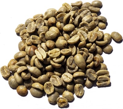 Tanzania Arabica AA Kilimanjaro - ongebrande koffiebonen - 1 kilo