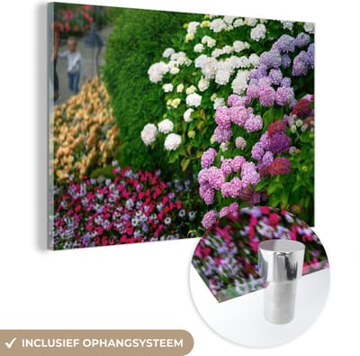 ® Glasschilderij 180x120 cm - Schilderij acrylglas - Levendige hortensia bloemen - Foto op glas - Muurdecoratie woonkamer - Wanddecoratie slaapkamer - Schilderijen