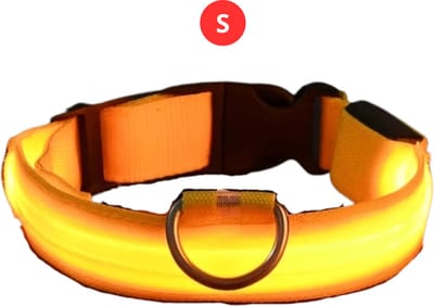 Nivard Lichtgevende Halsband - Verlichte Halsband - Lichtgevend - Hond - Kat - Lampje - Hondenhalsband Led - Nekband - Geel S