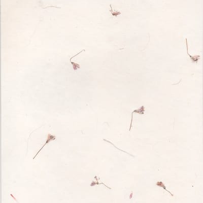 Set van 25 vel Tree-Free papier met bloemenmix, 90 grs