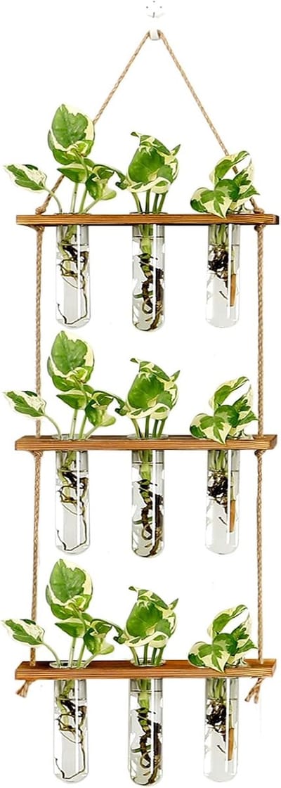 Tolvia Glazen Propagatie Station - Propagatie Station met Houten Frame voor Binnenplanen - Hydrocultuur VaasWandhangende Propagatie Station met 9 Glazen Reageerbuizen - Hydroponische Plantenhouder