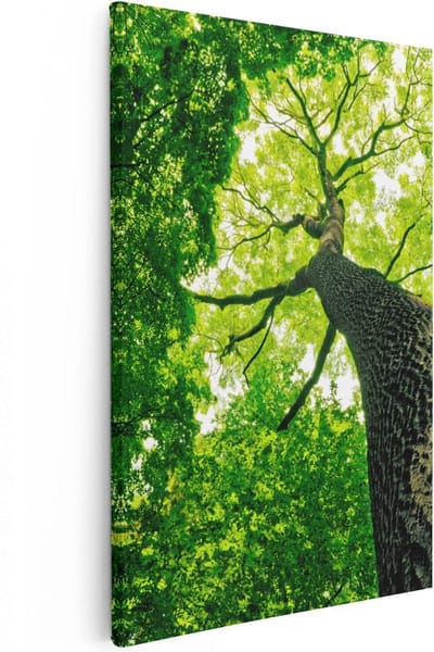 Artaza Canvas Schilderij Bos - 20x30 cm - Klein - Wanddecoratie Boom - Muurdecoratie Landschap - Kamer Accessoires Natuur