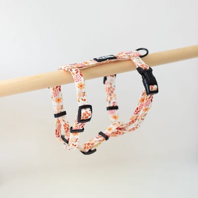 Pip & Palms - Hondentuig Beautiful Blossom - Wit - Maat XS - Verstelbaar - Hondentuigje - Y Tuig Hond - voor Kleine honden