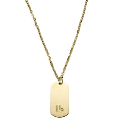 Goudkleurige Stalen Ketting met Sterrenbeeld Steenbok