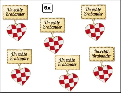 6x Badge/ broche rechthoek " Un echte Brabander"
