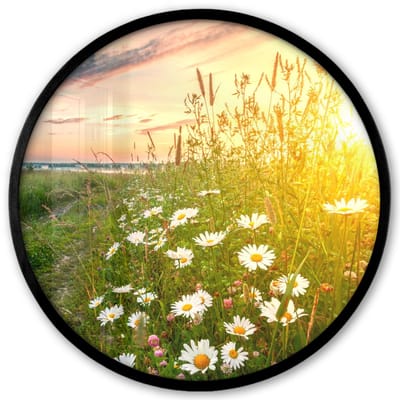 Poster in lijst Rond - Fotolijst 40x40 cm - Posters - Bloemen - Madelief - Natuur - Zon - Horizon - Ronde posterlijst zwart - Decoratie - Wanddecoratie woonkamer - Muurdecoratie slaapkamer