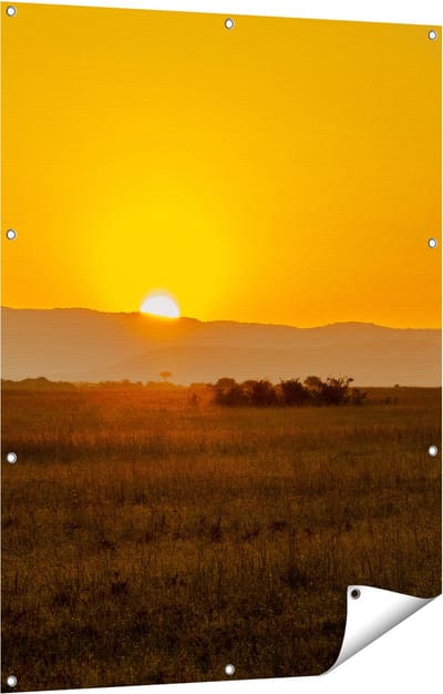 Gards Tuinposter Zonsopgang in de Savanne met een Boom - 90x120 cm - Tuindoek - Tuindecoratie - Wanddecoratie buiten - Tuinschilderij