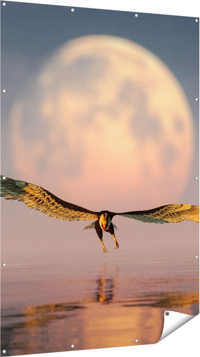 Gards Tuinposter Adelaar boven het Water bij de Maan - 120x180 cm - Tuindoek - Tuindecoratie - Wanddecoratie buiten - Tuinschilderij