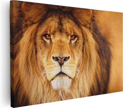 Artaza Canvas Schilderij Leeuwenkop - 30x20 cm - Klein - Muurdecoratie Dieren - Wanddecoratie Woonkamer - Kamer Accessoires