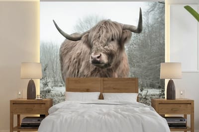 Behang - Fotobehang Schotse hooglander - Natuur - Herfst - Dieren - Wild - Bos - Breedte 220 cm x hoogte 220 cm