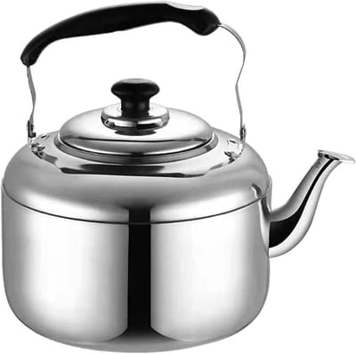 Waterkoker Roestvrijstaal - Theepot Fluitketel - Water Koken - Klassieke Stijl - 6L Capaciteit - Zilver