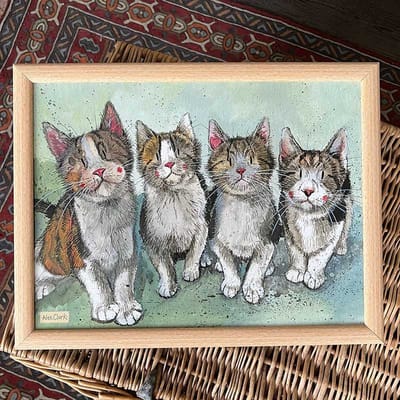Alex Clark Schootkussen Kat ~ The Fab Four