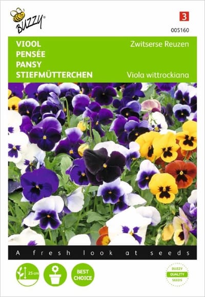 2 stuks Buzzy Viola wittrockiana Zwitserse Reuzen Bloemistenmengsel