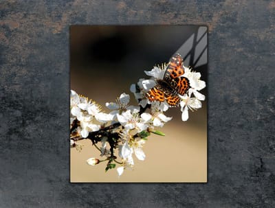 TMK ArtDeko - Glas Snijplank - 45x52 cm - Śliwa - Tempered Glass