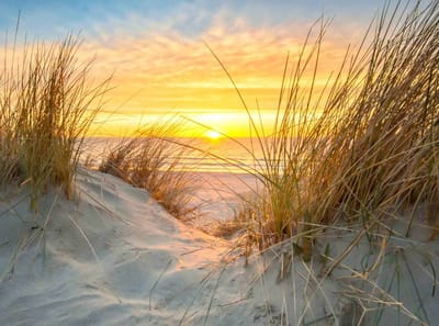 Fotobehang zonsondergang in de duinen van Ameland 350 x 260 cm - € 235,--
