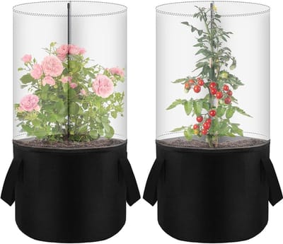Mini Kas - Plantenhoes Koude - Planten Beschermen - Weercontrole Systeem - 50x30x30 cm - Enkel attribuut