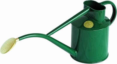 Gieter voor binnen - Watergever planten - Planten verzorgen - Origineel ontwerp - 1 liter - Groen
