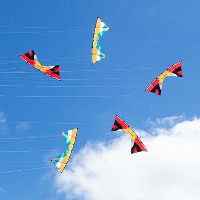 Sportvlieger Vier Lijnen - Quadline Vlieger Acro Vlieger - Buiten Spelen - Robuuste Koolstof Constructie - 252 x 82 cm