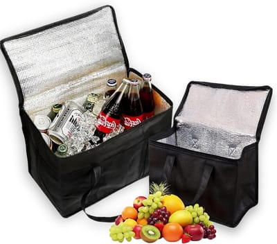 Set van 2 Koeltassen voor Voedsel, Ideaal voor Picknicks, Strand, Kamperen en Werk