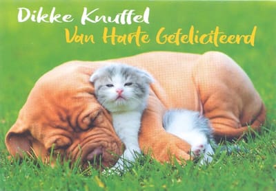 Wenskaart Dikke Knuffel van Harte Gefeliciteerd - Gratis verzonden - D4392/94