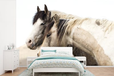 Behang - Fotobehang Portret van twee wilde paarden - Breedte 330 cm x hoogte 220 cm
