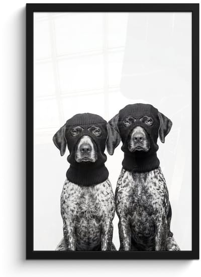 Poster in lijst - Fotolijst 40x60 cm - Posters - Honden - Bivakmuts - Zwart - wit - Posterlijst zwart - Decoratie - Wanddecoratie woonkamer - Muurdecoratie slaapkamer