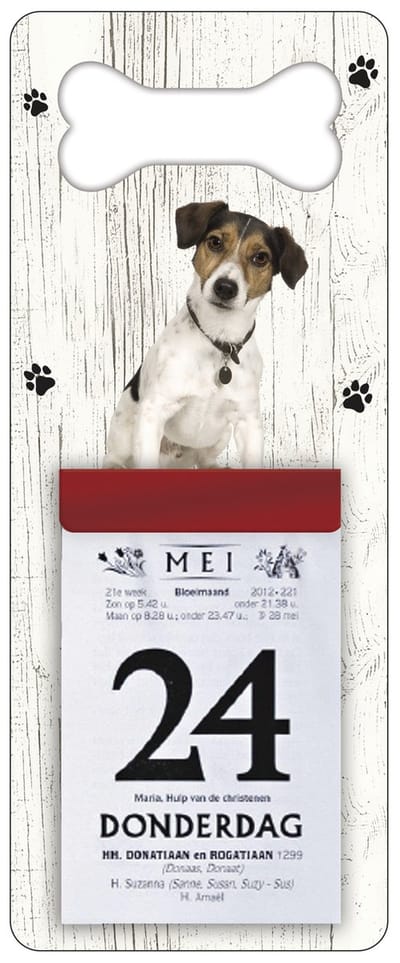 Scheurkalender 2027 Hond: Jack Russel