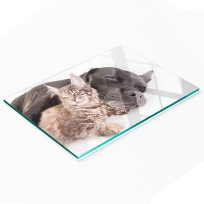 Decoratieve snijplank van gehard glas met afbeelding van een hond en een kat, 80x52 cm