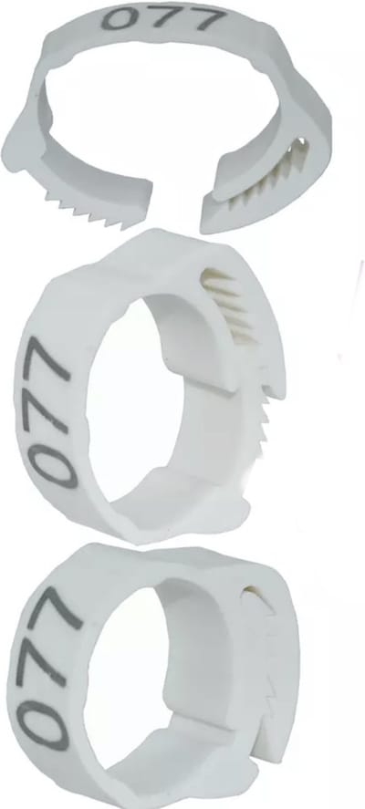 Pluimveeringen - verstelbaar - 20 mm - genummerd - 50 stuks - kippenringen - vogelringen - WIT