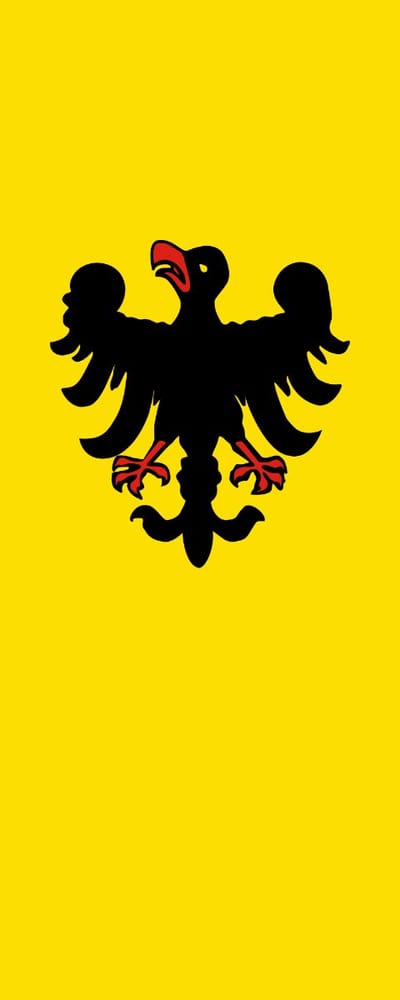 Vlag Sinsheim 100x150cm