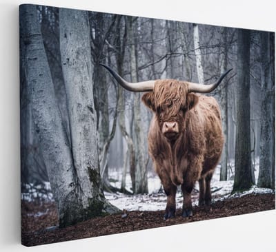 Saammp Canvas Schilderij - Schotse Hooglander Koe - Kunst - Zwart-Wit - Landschap - Dieren - Natuur - 30x20 - Foto op canvas - Wanddecoratie - muurdecoratie Woonkamer - Slaapkamer decoratie - Canvas Print