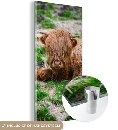 MuchoWow® Glasschilderij 20x40 cm - Schilderij acrylglas - Schotse Hooglander - Hooi - Gras - Foto op glas - Schilderijen