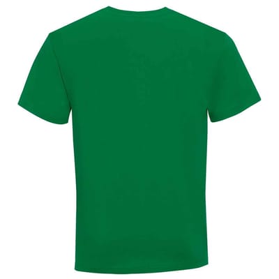SOLS Heren Victory V-hals T-shirt (Kelly Groen)