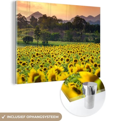 MuchoWow® Glasschilderij 40x30 cm - Schilderij acrylglas - Zonnebloem - Natuur - Berg - Foto op glas - Schilderijen
