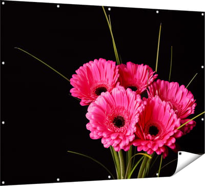 Gards Tuinposter Roze Gerbera Bloemen - 160x120 cm - Tuindoek - Tuindecoratie - Wanddecoratie buiten - Tuinschilderij