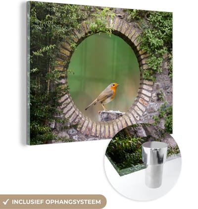 MuchoWow® Glasschilderij 120x90 cm - Schilderij acrylglas - Vogel - Doorkijk - Roodborstje - Foto op glas - Schilderijen