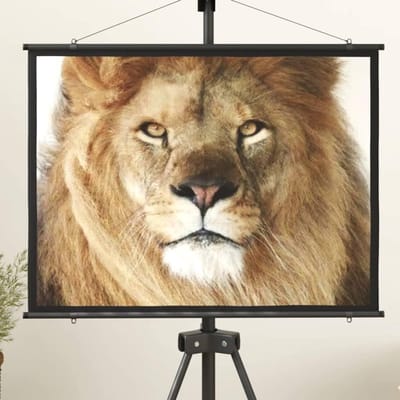 Projectiescherm - Beamer Scherm - Thuisbioscoop - Mat wit projectieoppervlak - 50 inch 4:3 - Mat wit