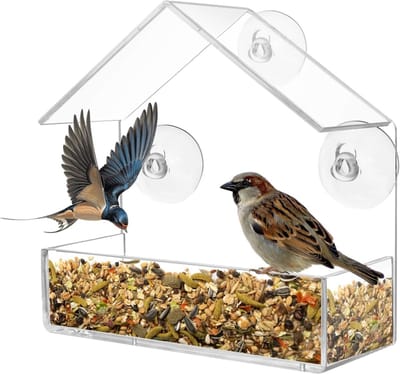 TOVBMUP Vogelvoederhuisje - Transparant Fenstervogelhuis met Zuignappen - 15x15x6 cm - Afneembare Voederlade - Geschikt voor Koolmezen en Vinken - Acryl Plastic - Incl. 3 Zuignappen