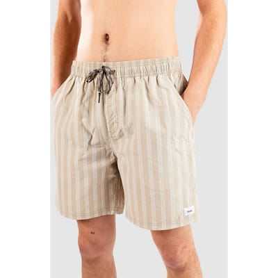 Katin USA Barley Volley Boardshorts bruin