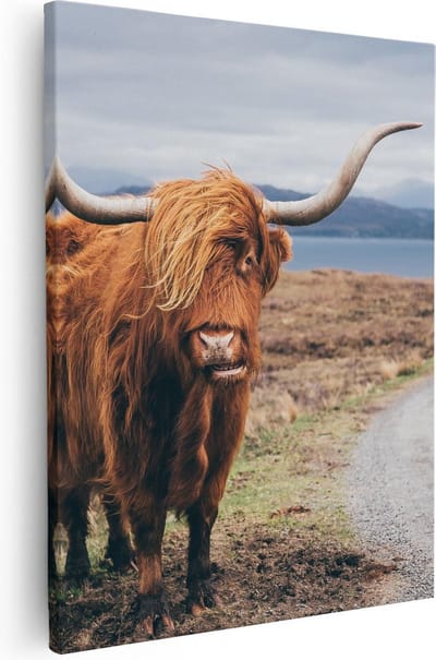 Artaza Canvas Schilderij Hooglander - 40x50 cm - Muurdecoratie Schotse Hooglander - Wanddecoratie Dieren - Kamer Accessoires