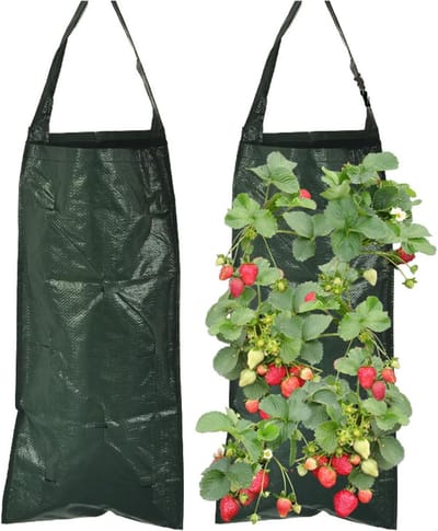 Hanging Verticale Planttassen voor Aardbeien met 8 Ventilatiegaten - 2 Stuks, 25 x 60 cm, Ideaal voor Tuinieren en Plantenopvang