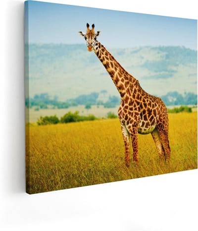Artaza Canvas Schilderij Afrikaanse Dieren - 50x40 cm - Wanddecoratie Giraffe - Muurdecoratie Savanne - Kamer Accessoires