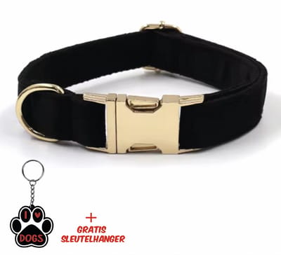 SilverAndCoco® - Zwarte Honden Halsband met Gratis Sleutelhanger | Velvet Hond Puppy Bandje | Hondenhalsband Suède Gouden | Kleding Decoratie | Hondenbandje Huisdier - Zwart / Goud