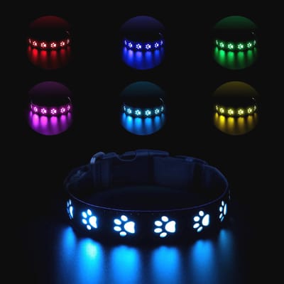 Oplaadbare Led-halsband voor Honden - Veilig, Instelbaar, Met 7 Kleurveranderingen (40 cm)