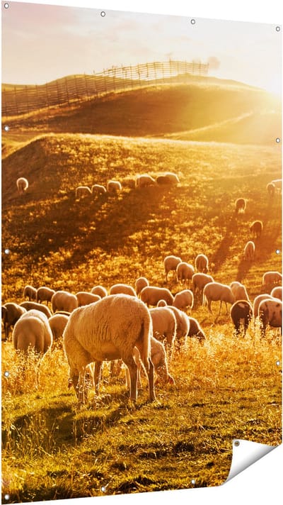 Gards Tuinposter Schapen in de Heuvels bij Zonsondergang - 120x180 cm - Tuindoek - Tuindecoratie - Wanddecoratie buiten - Tuinschilderij