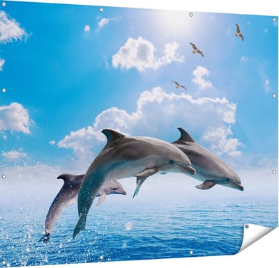 Gards Tuinposter Dolfijnen Springen uit de Blauwe Zee - 150x120 cm - Tuindoek - Tuindecoratie - Wanddecoratie buiten - Tuinschilderij