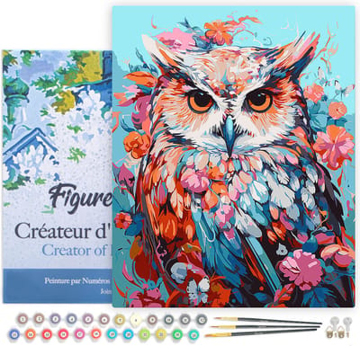Figured'Art Schilderen op Nummer Volwassenen met lijst Kleurrijke Uil in Bloei - Handwerk acrylverf Kit DIY Compleet - 40x50cm Canvas al ingelijst