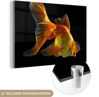 MuchoWow® Glasschilderij 120x80 cm - Schilderij acrylglas - Goudvis - Dieren - Zwart - Foto op glas - Schilderijen