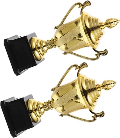 Gouden Trofeeën - Prijzen Bekers - Wedstrijd Winst - Delicaat Ontwerp - 6 x 12 x 21 cm - Goudkleurig