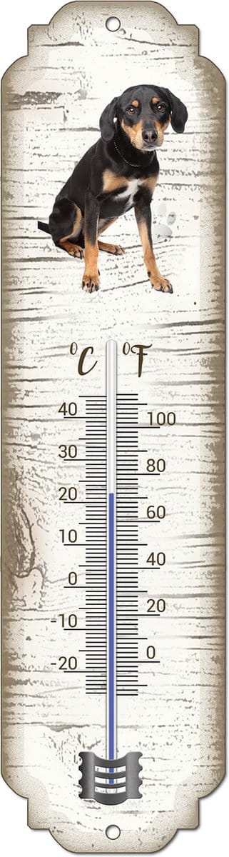 Thermometer: Appenzeller Sennerhond | Hondenras | Temperatuur binnen en buiten | -25 tot +45C